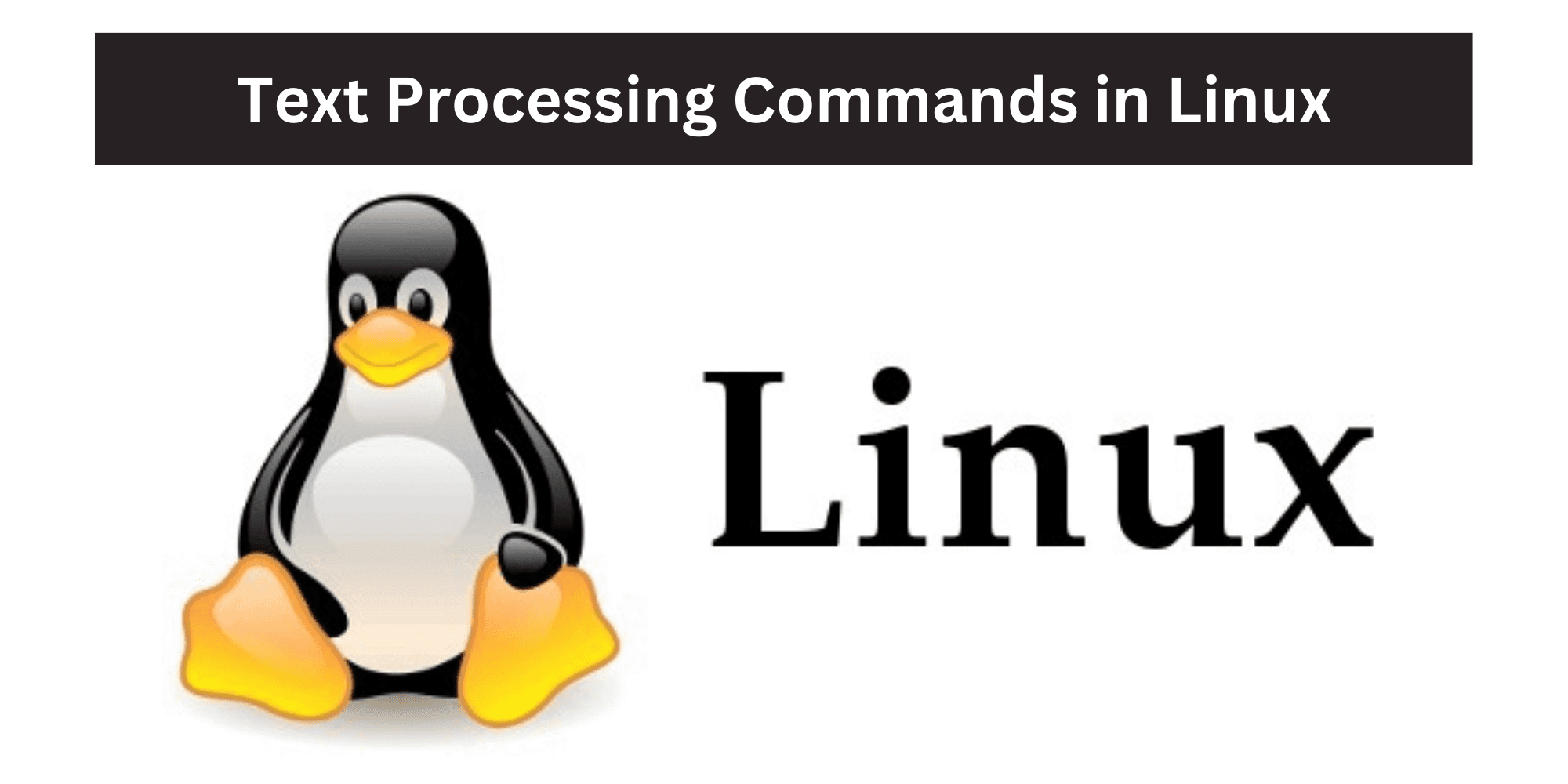 Text processing commands in Linux